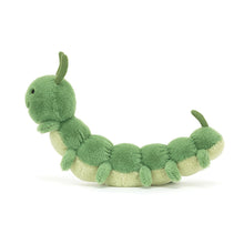 Cargar imagen en el visor de la galería, Gusano / Cary Caterpillar  Jellycat 13x5x24 cm
