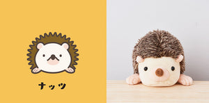 Posture Pals Dreams Products Hedgehog